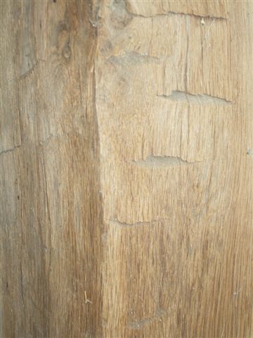 Jan De Jong Frame HH Timber